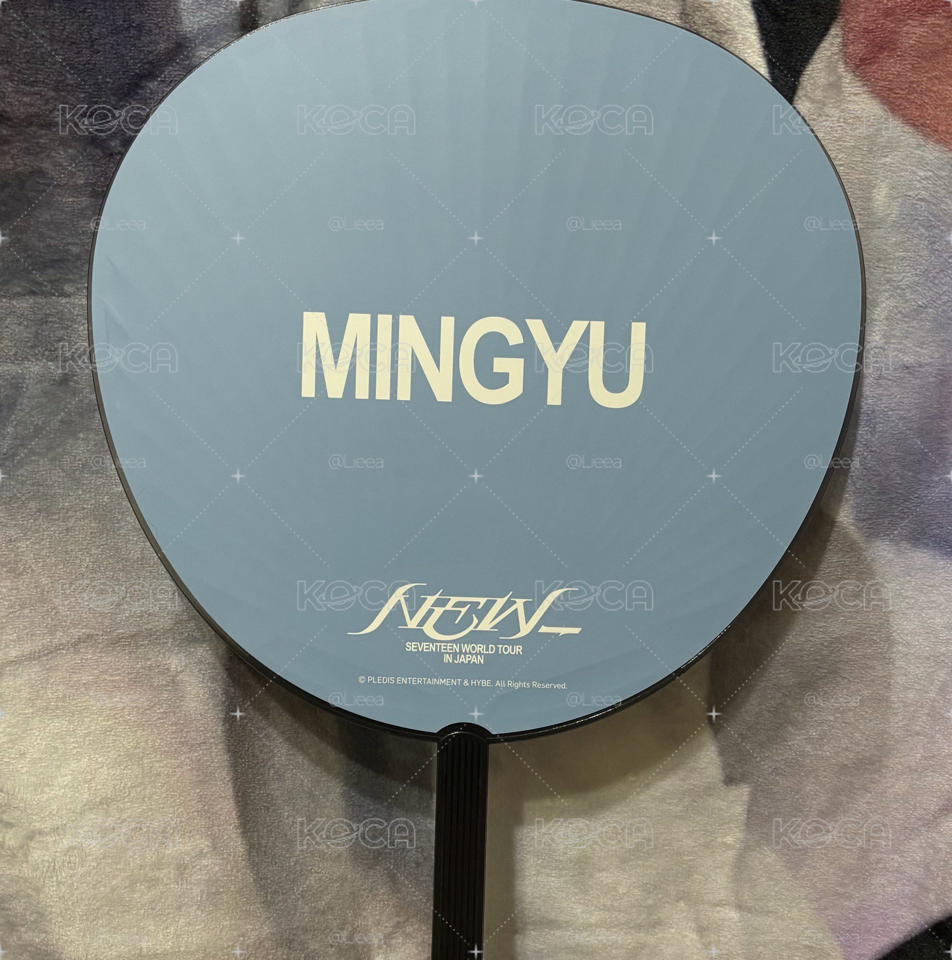 NEW_奎大扇 直出