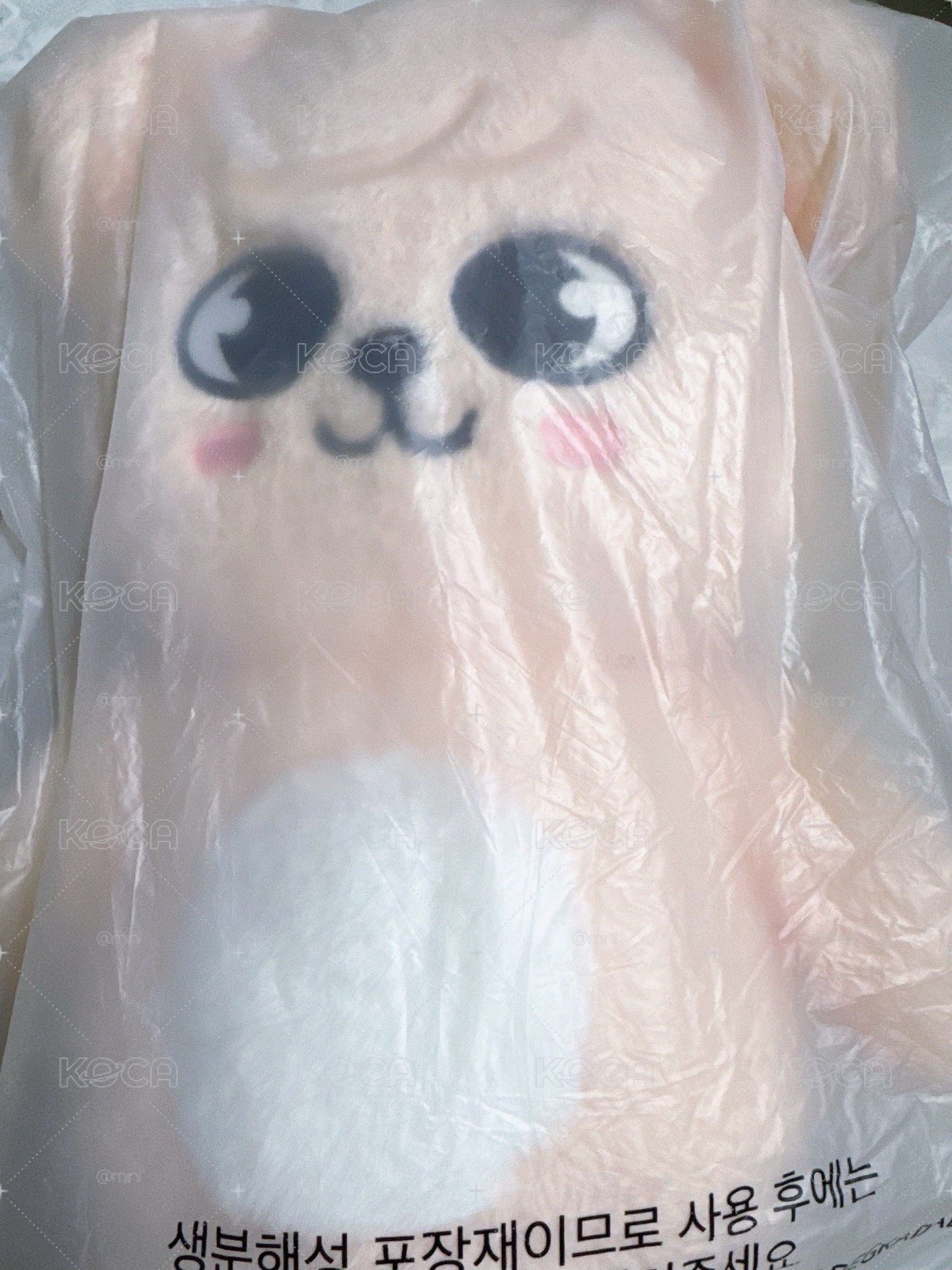 帕皮 泰迪玟
