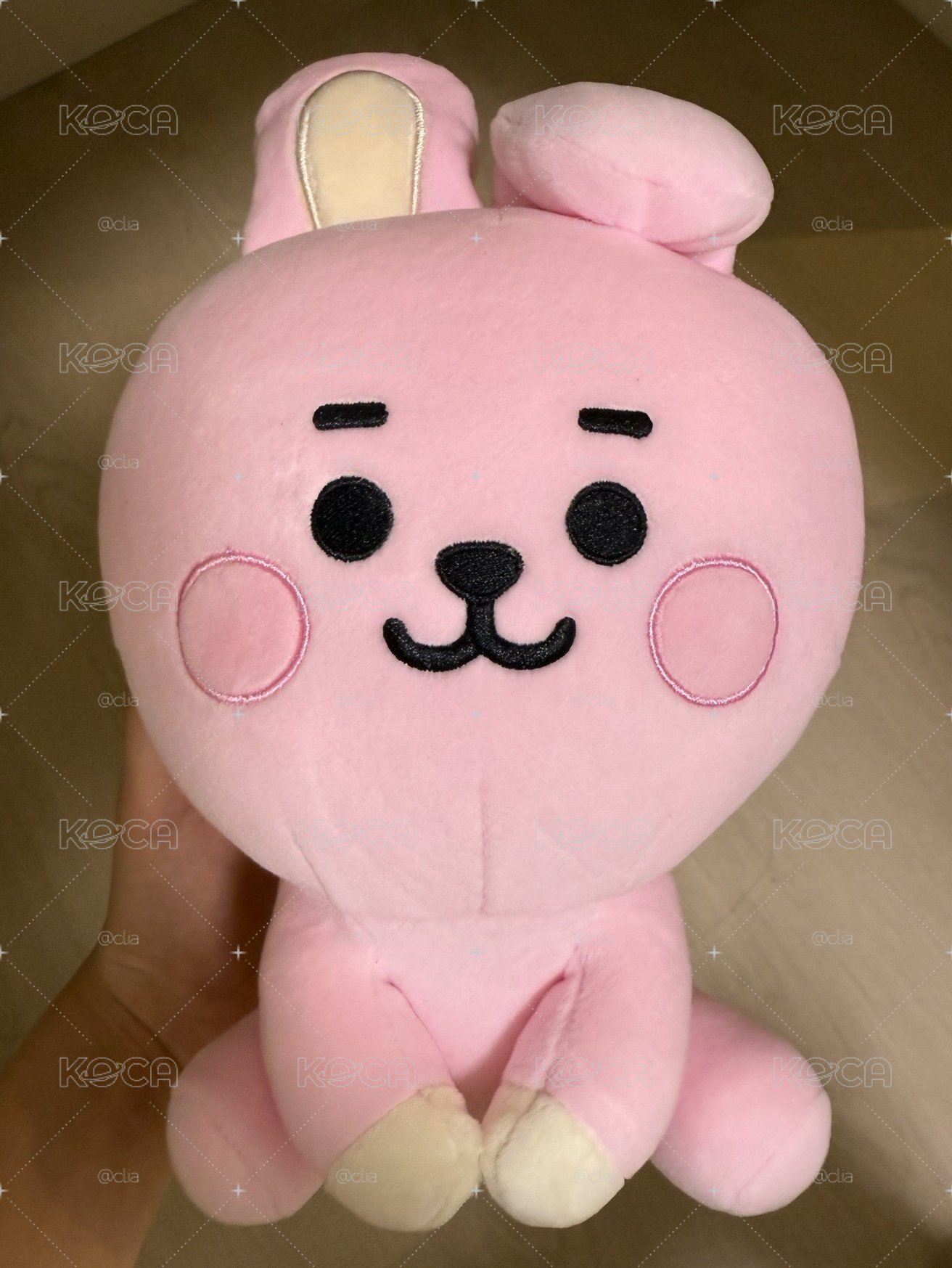 bt21 cooky 