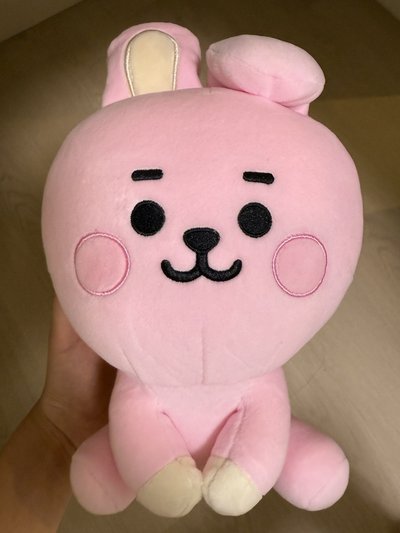 bt21 cooky 