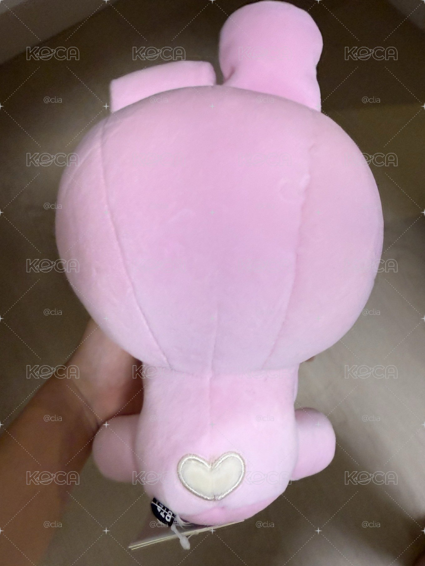 bt21 cooky 