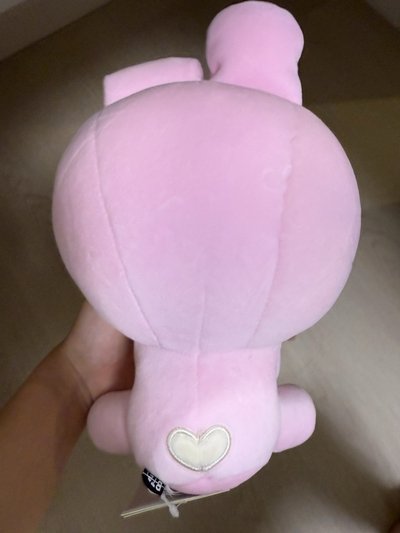 bt21 cooky 