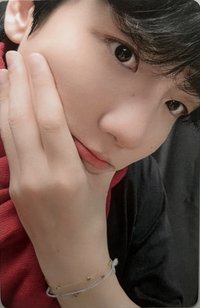 bolo4 京東 新年 特典卡 