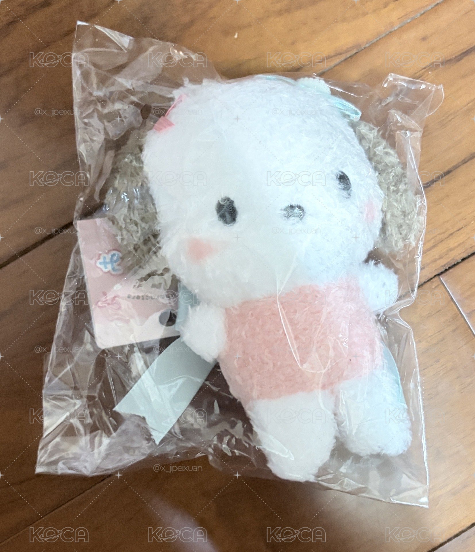 蝴蝶結絲帶 帕恰狗