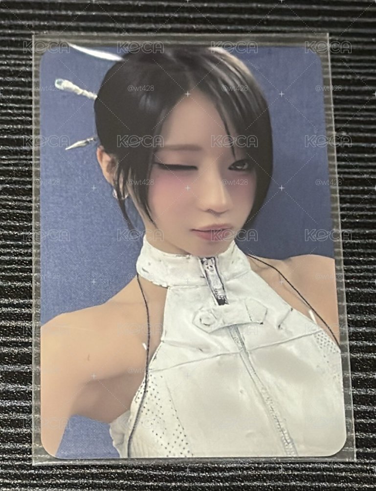 二週年紀念寫真 ms特典 角