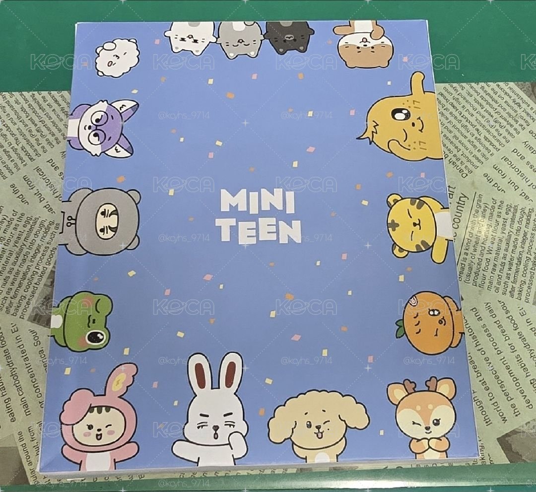 Miniteen 卡冊