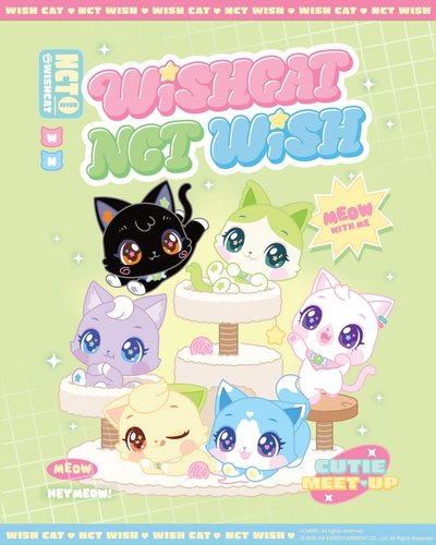 現貨 WISHCAT 抱枕 娃娃盲盒