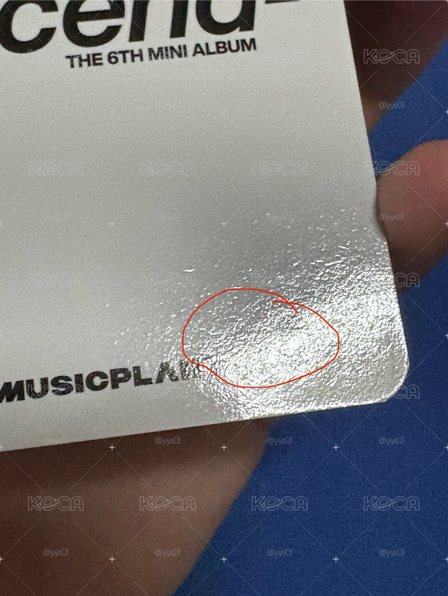 Mp眨眼彬