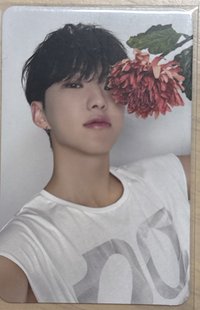 精選carat