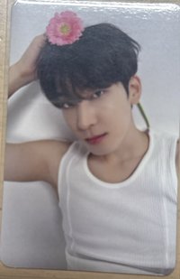 精選carat