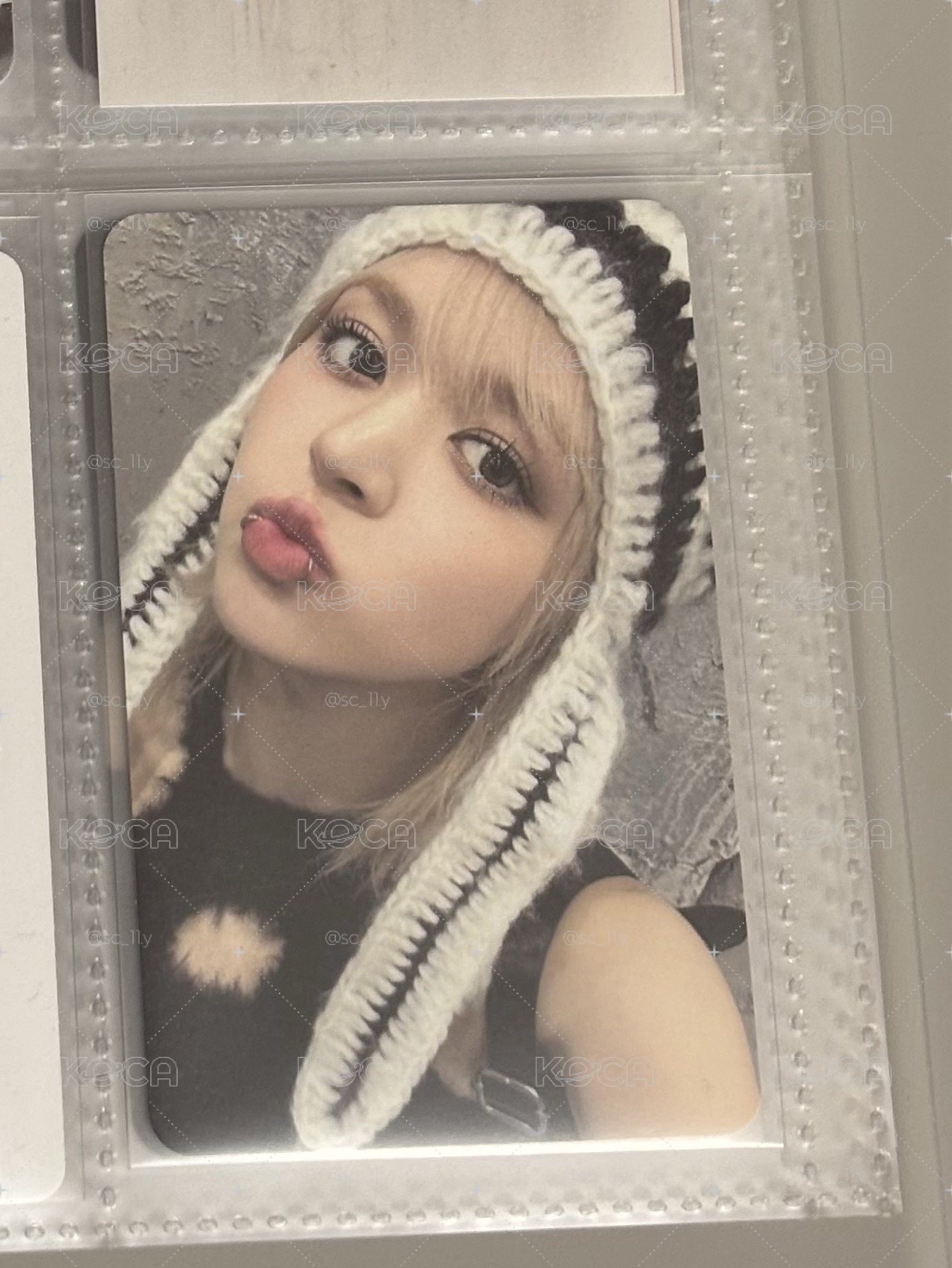 莉專卡