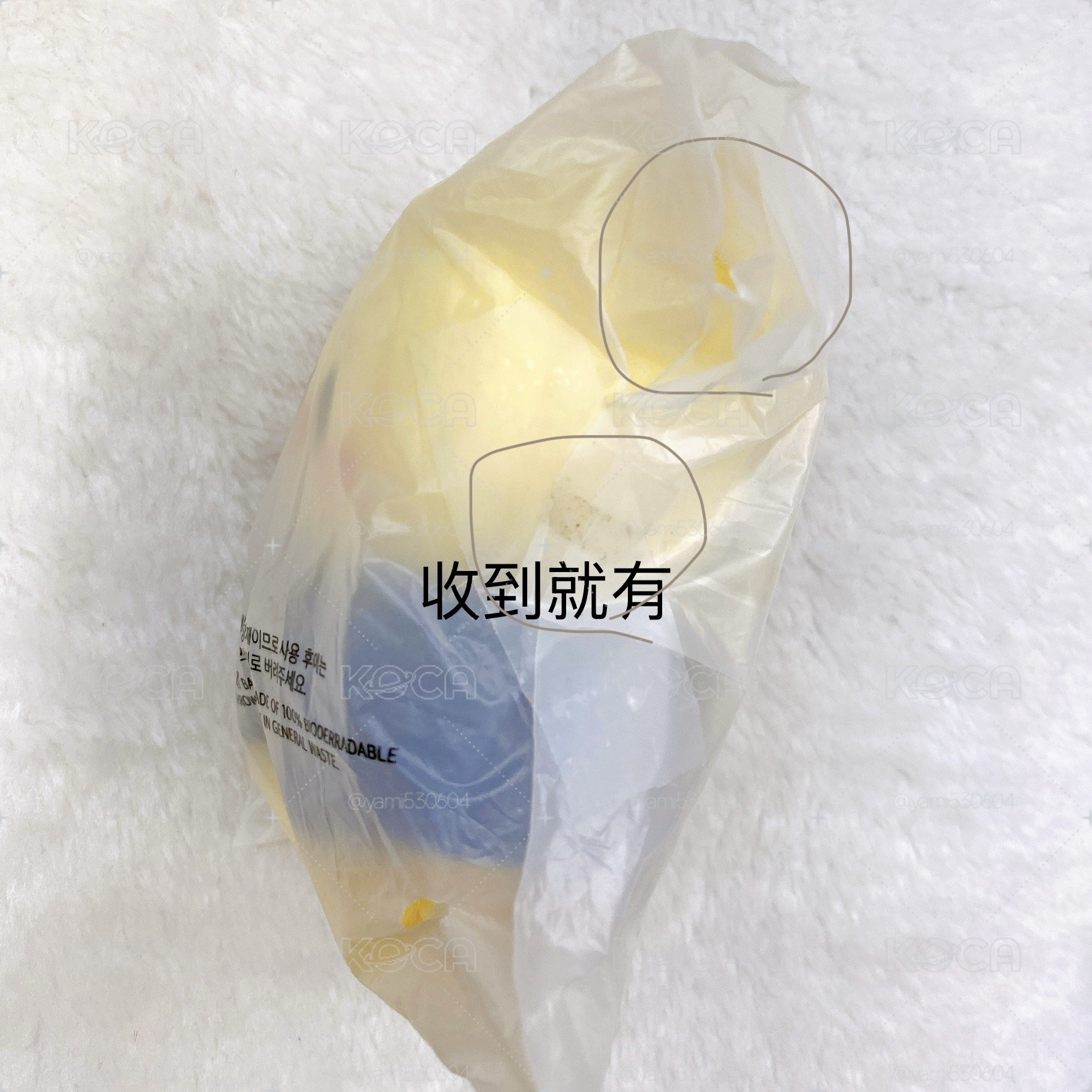 魔法學院 10cm飯咪娃（菲）