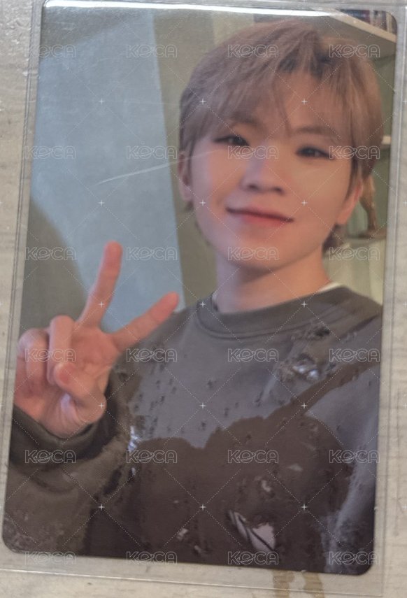 迷九 carat