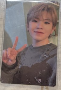 迷九 carat