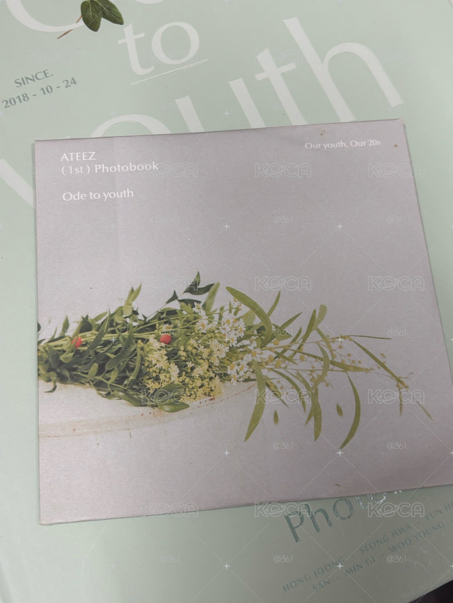 寫真 ode to youth