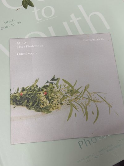 寫真 ode to youth