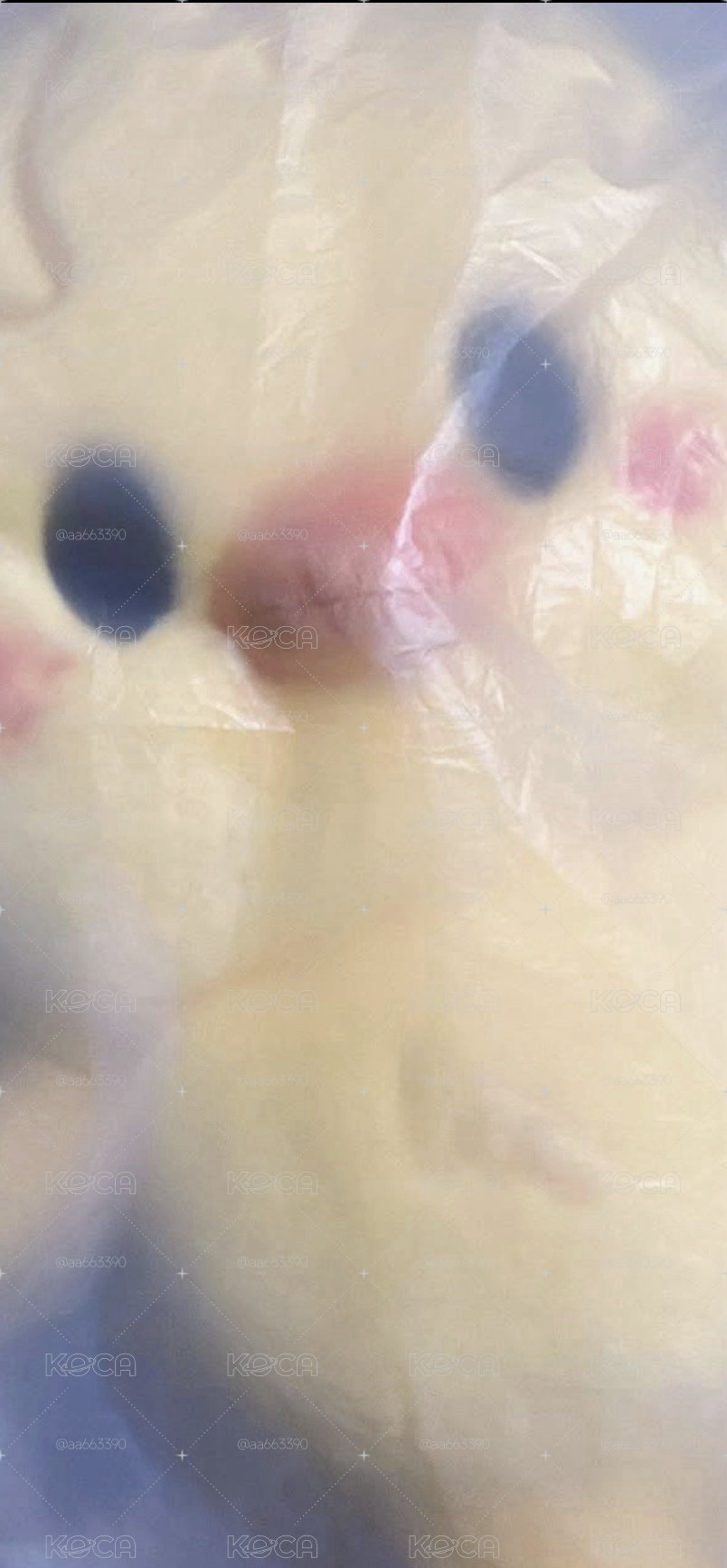 現貨後背包