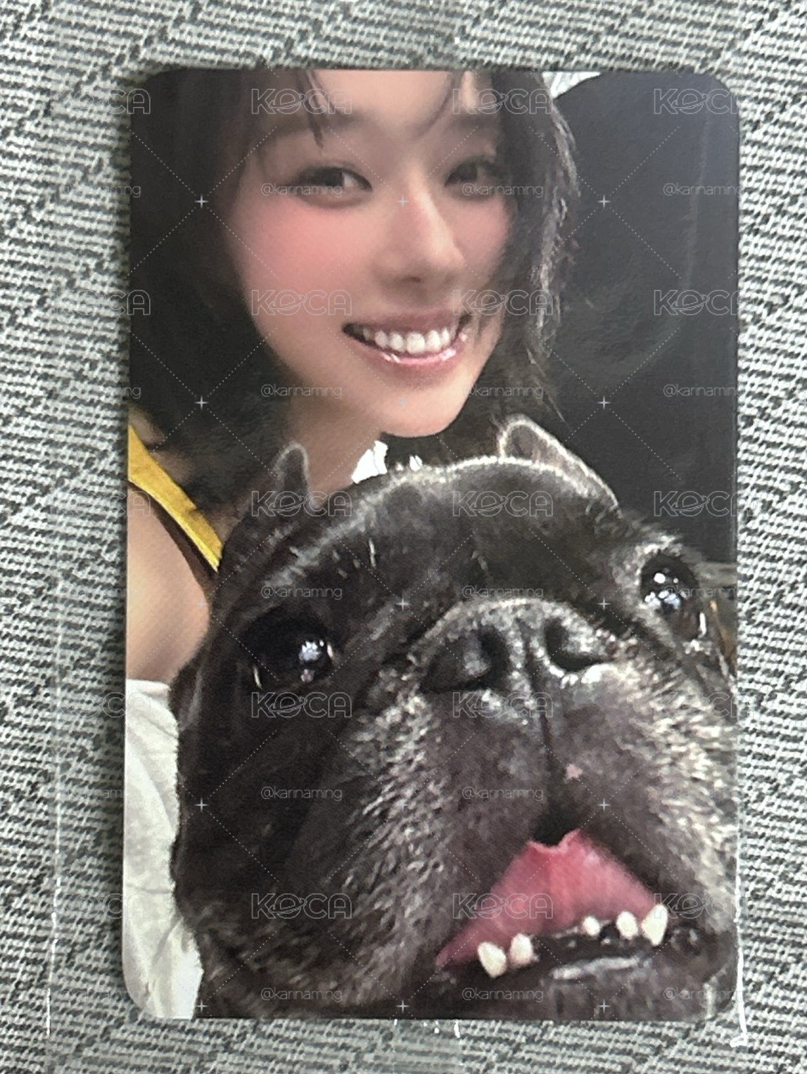 ⭐️🐶1元起標 小狗冬🐶⭐️