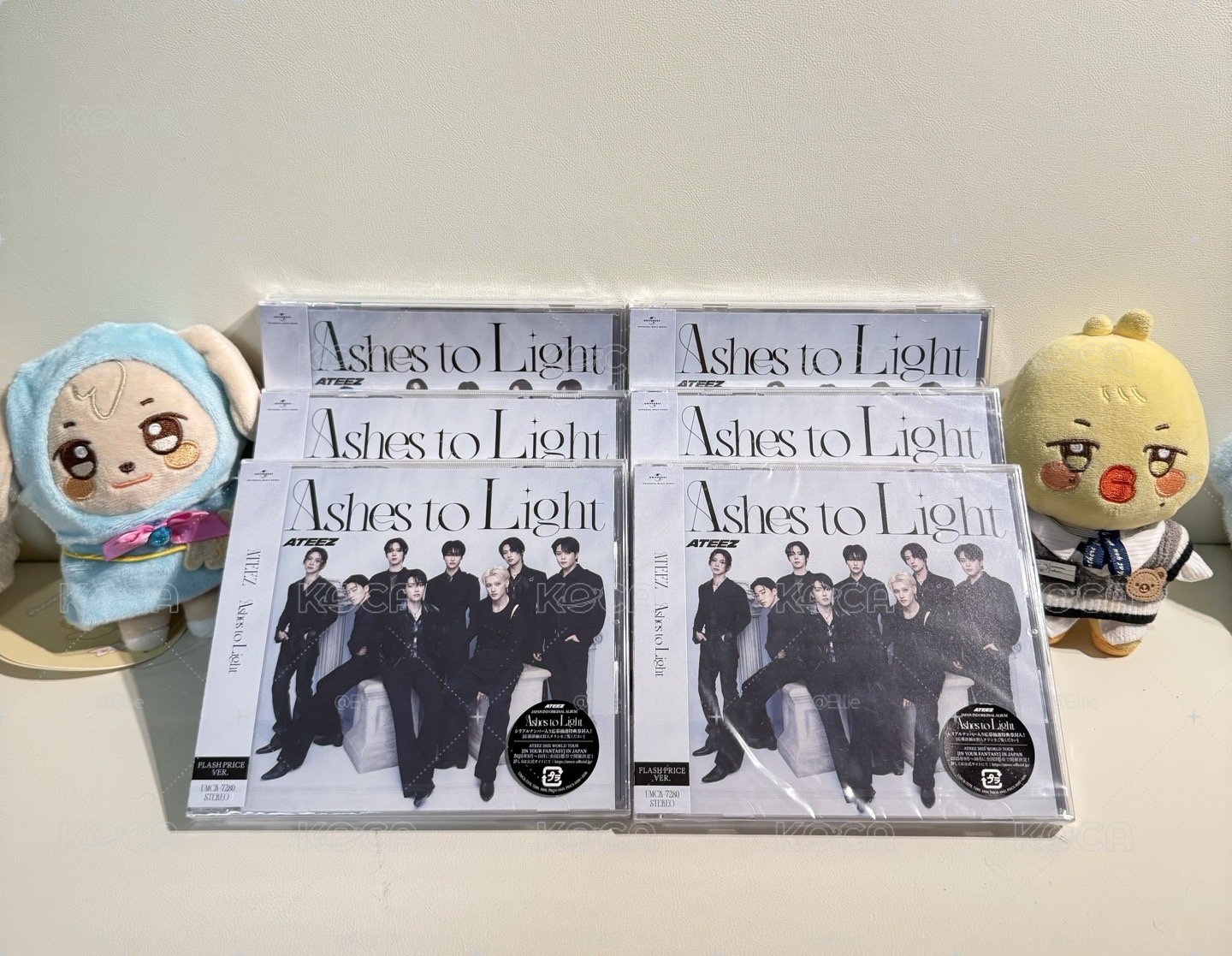 Ashes to Light 專輯 初回Flash Price盤-全新未拆（可當綁）