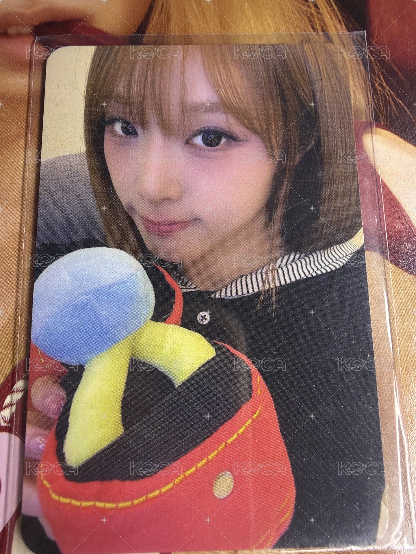 圖右