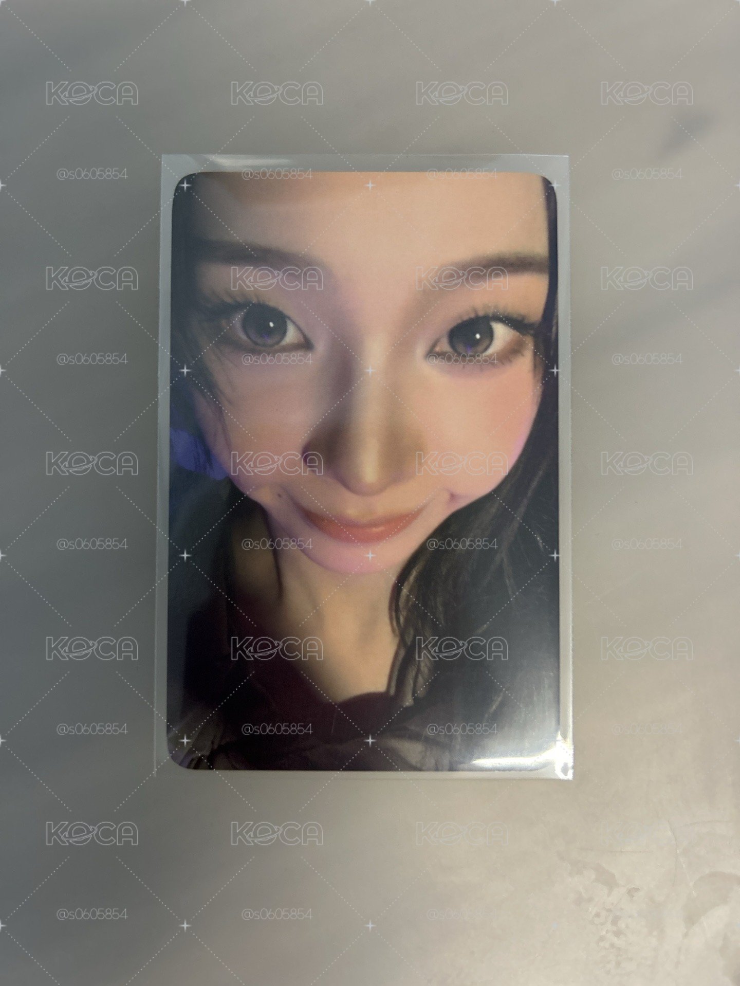 el預售柚