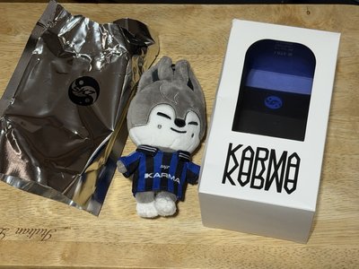 KARMA 電子專 SKZOO 燦
