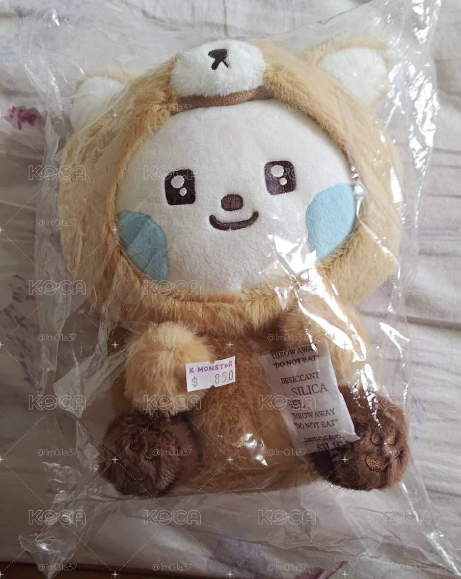 動物坐娃奎
