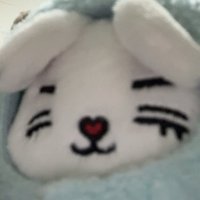 網戀騙狗二十萬
