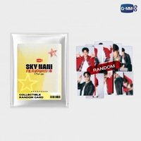 SKY-NANI FRIENOMENON FANCON 隨機卡包