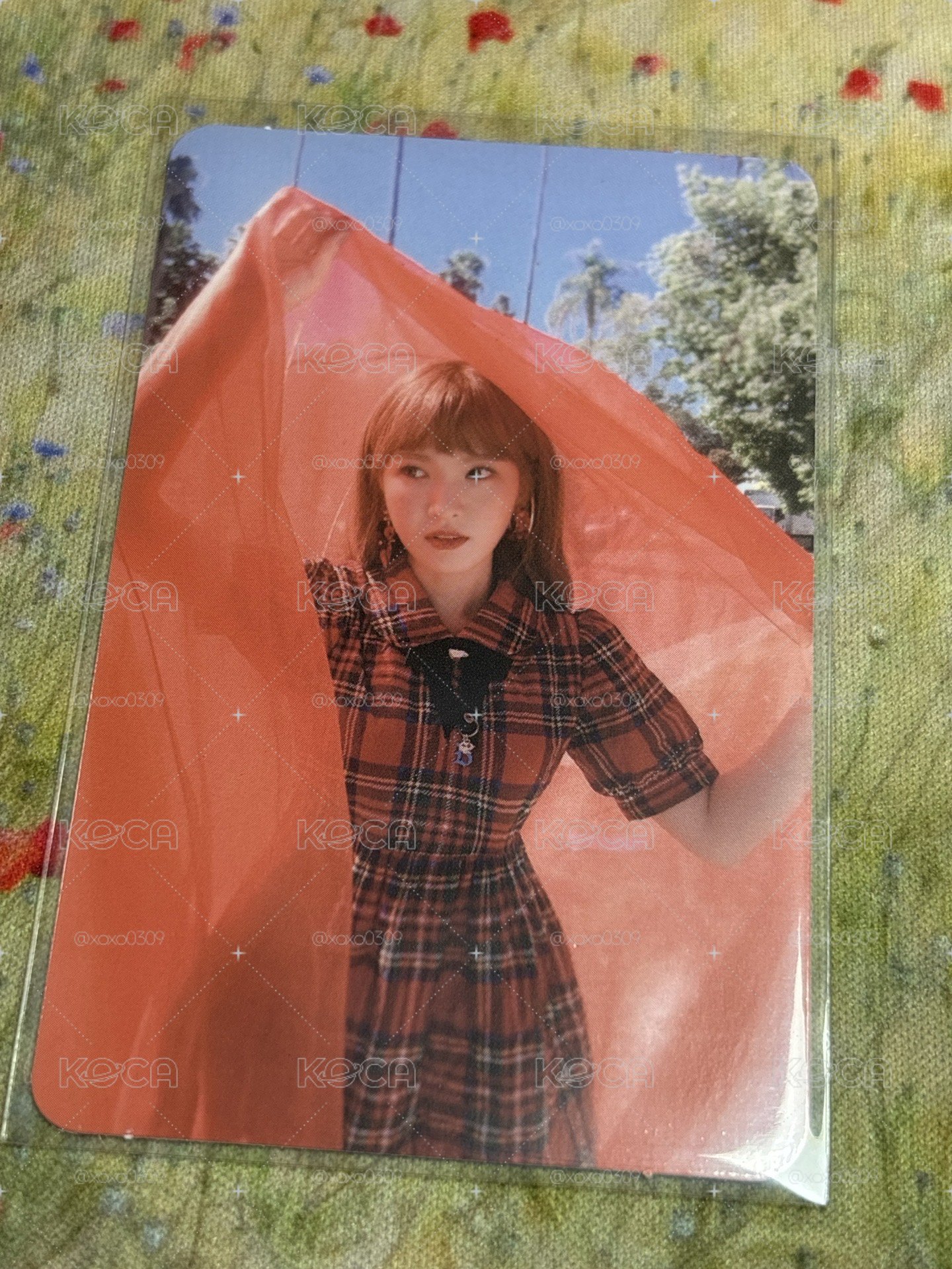 Wendy peek-a-boo