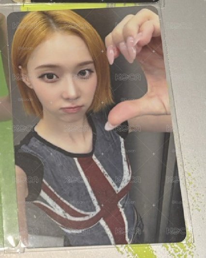 正規二 華納冬