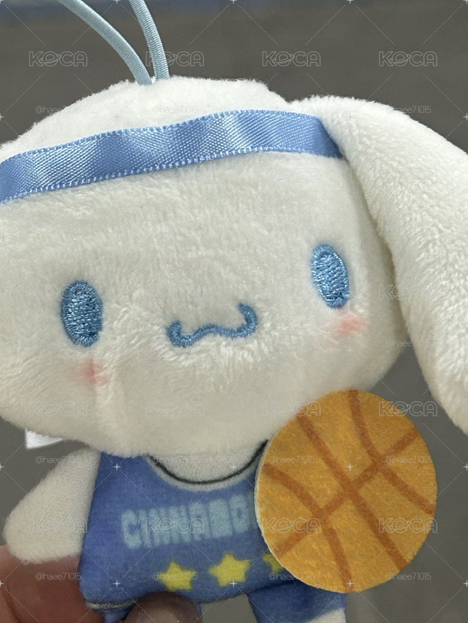 籃球耳狗