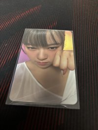 貓貓拳定