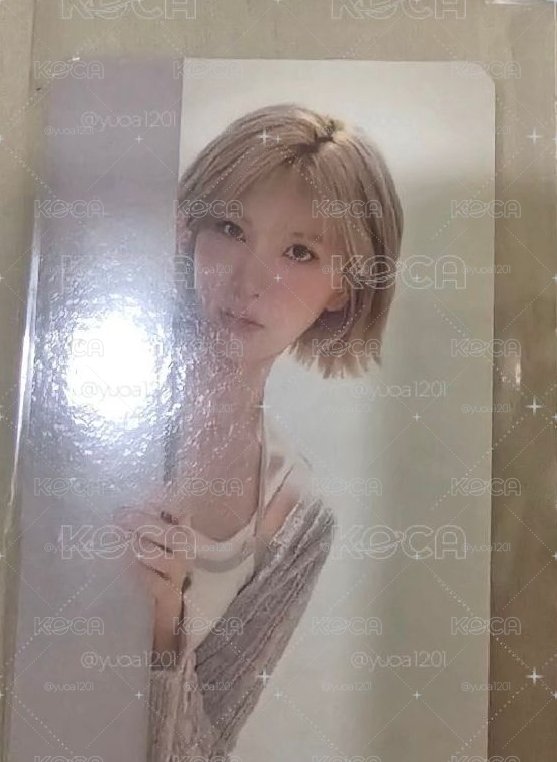 探頭裴
