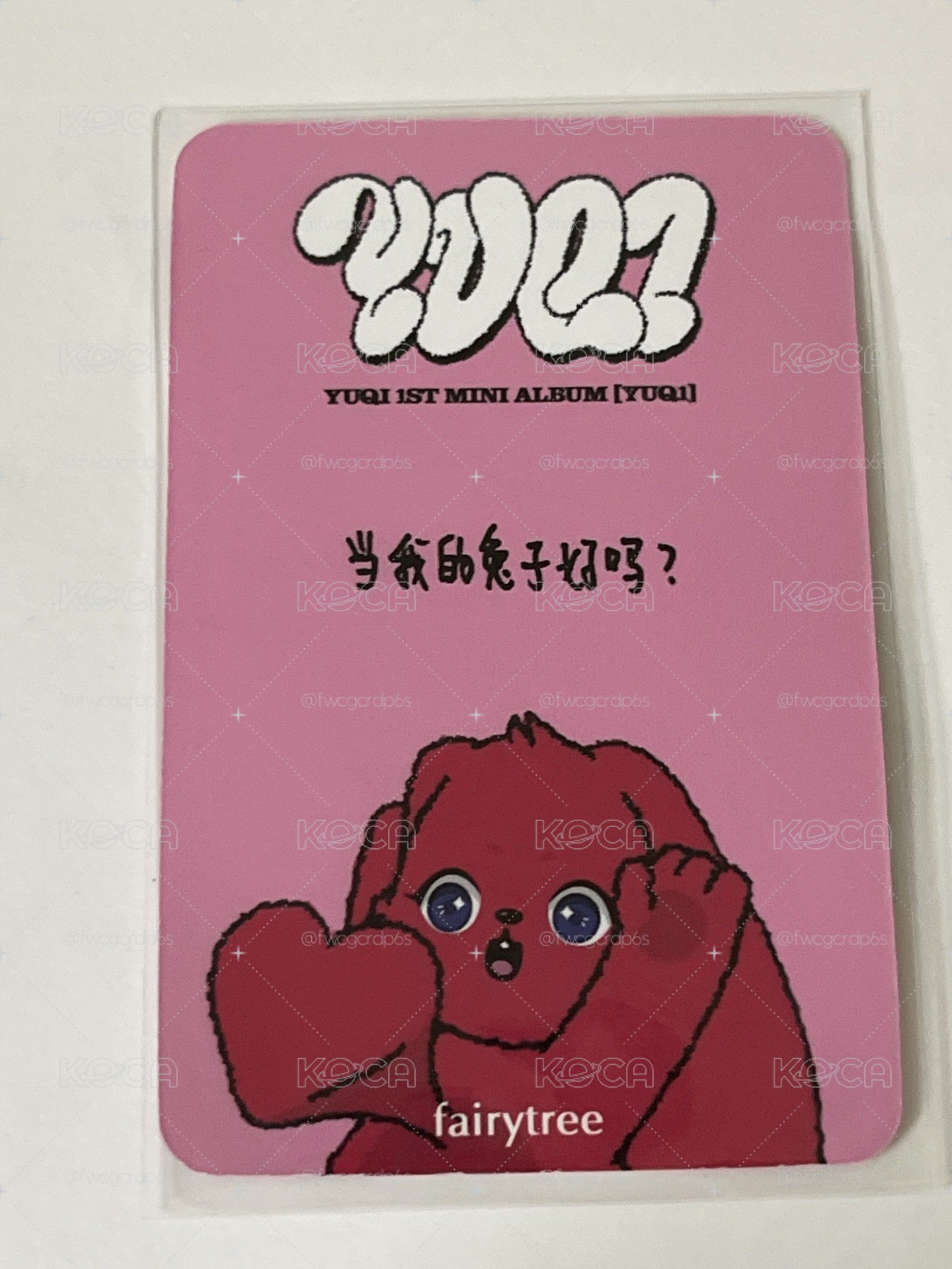 雨琦🐶小卡