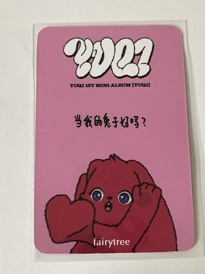 雨琦🐶小卡