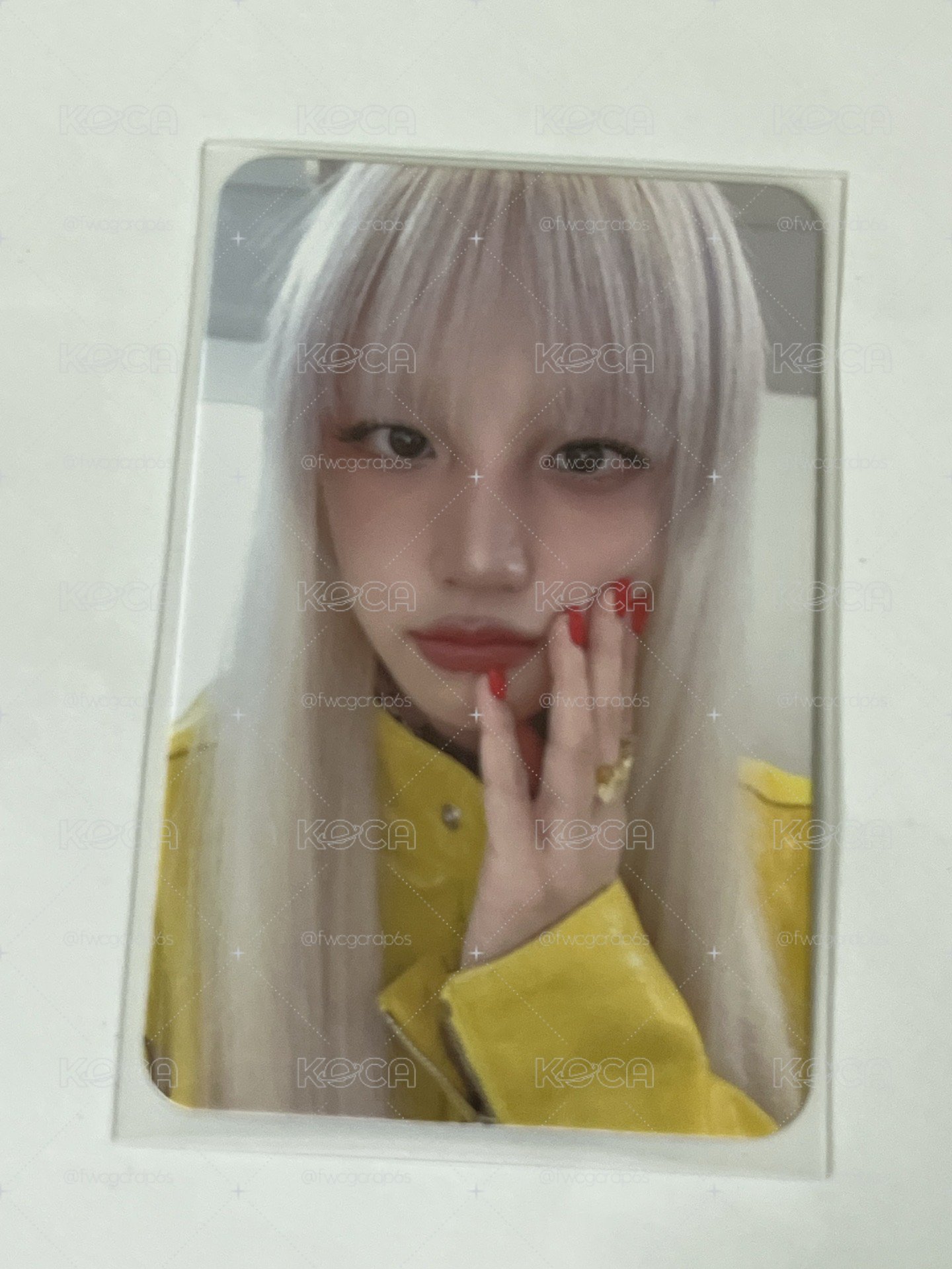 雨琦🐶小卡