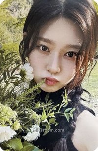 2025 seasons greetings  wm 特典卡 