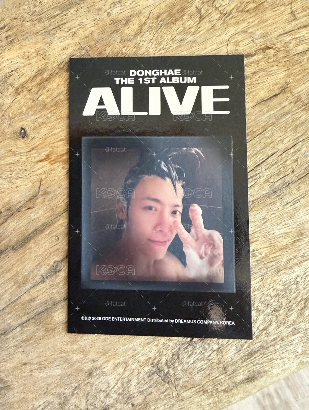 東海solo專輯ALIVE_洗澡卡