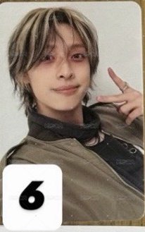06 鴨