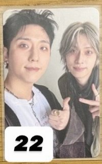 22 槍鴨