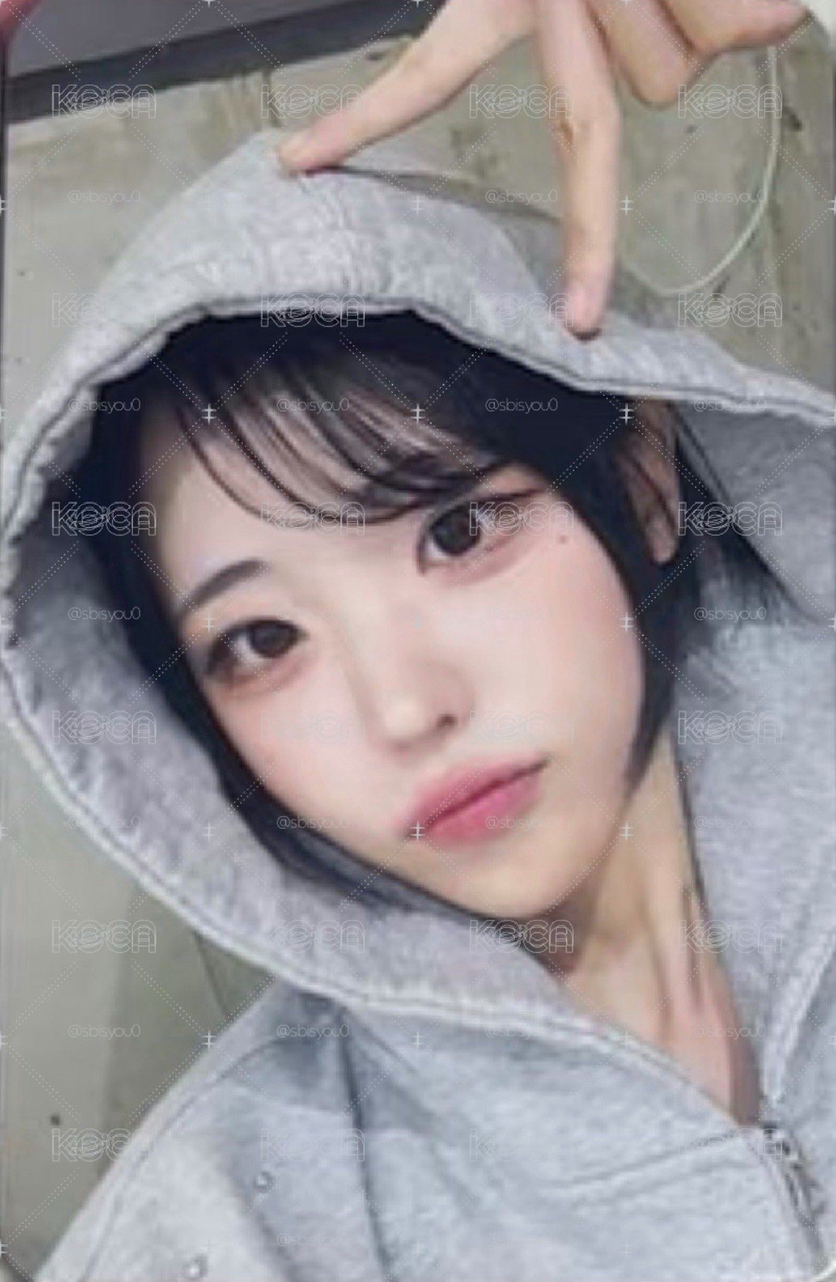 貓耳娜🐱雙面卡