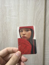 定延毛球