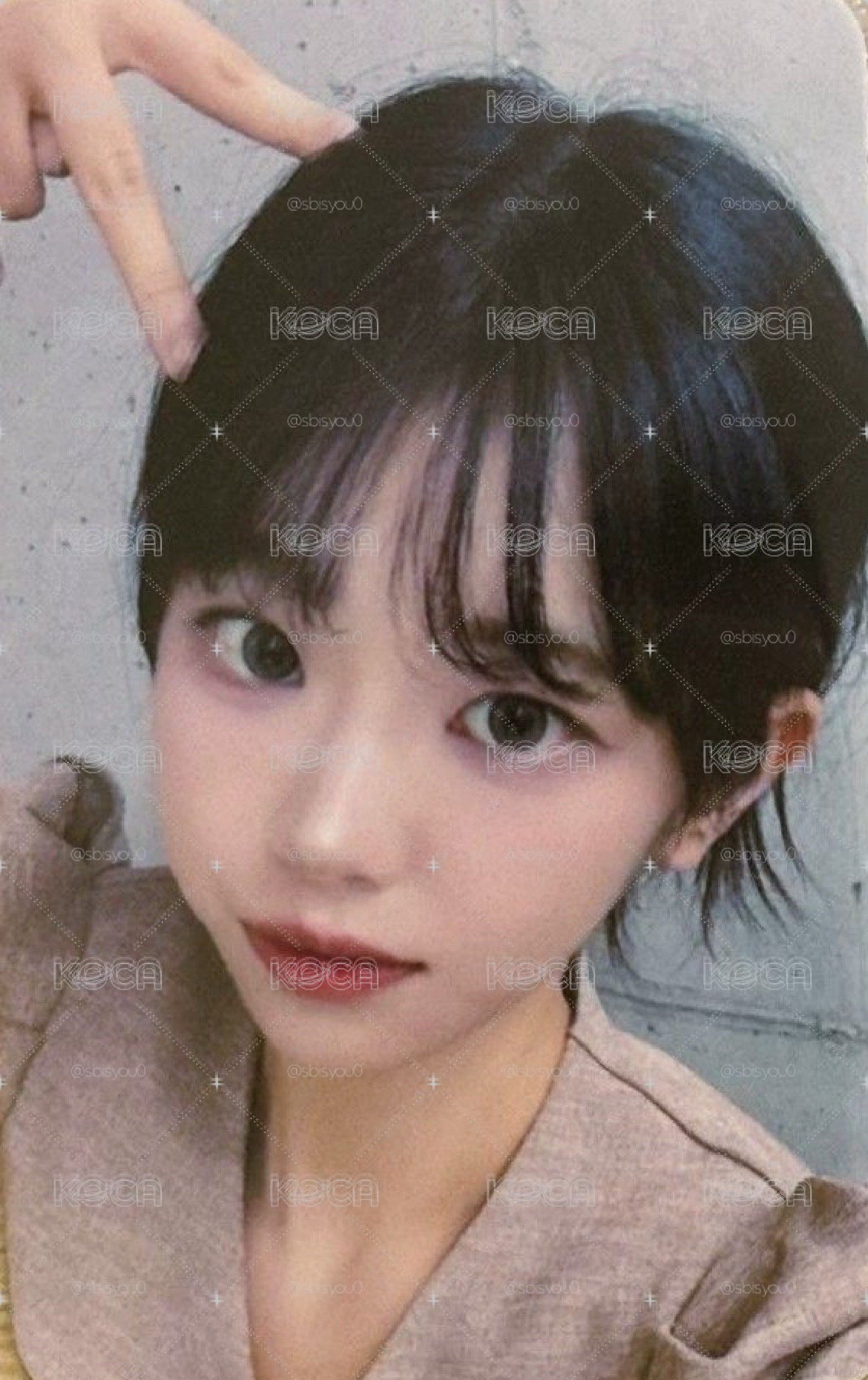 貓耳丹🐱雙面卡