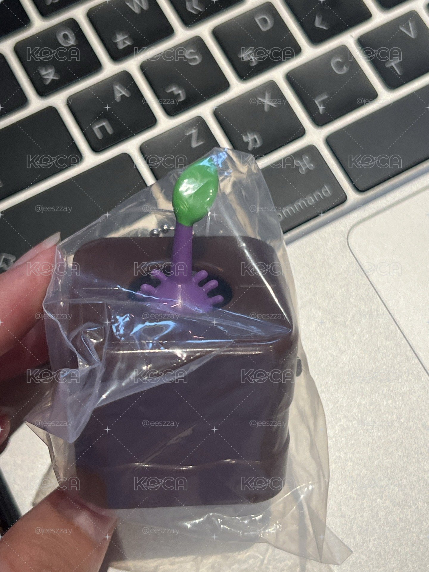 拔拔皮克敏紫皮