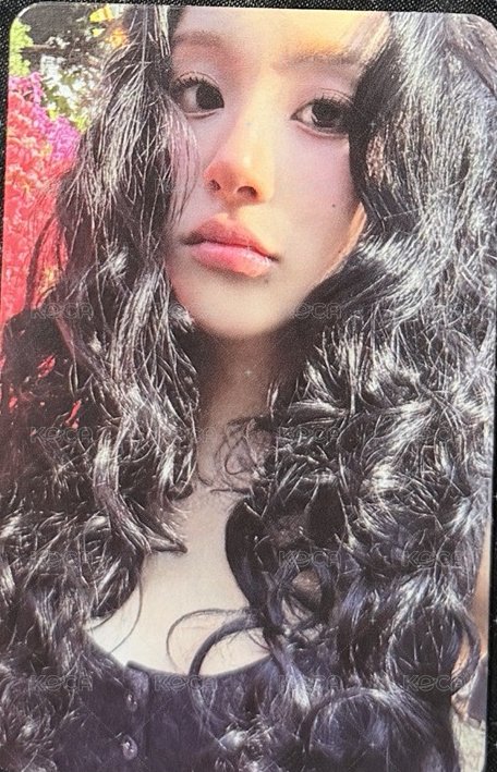 花背景彩