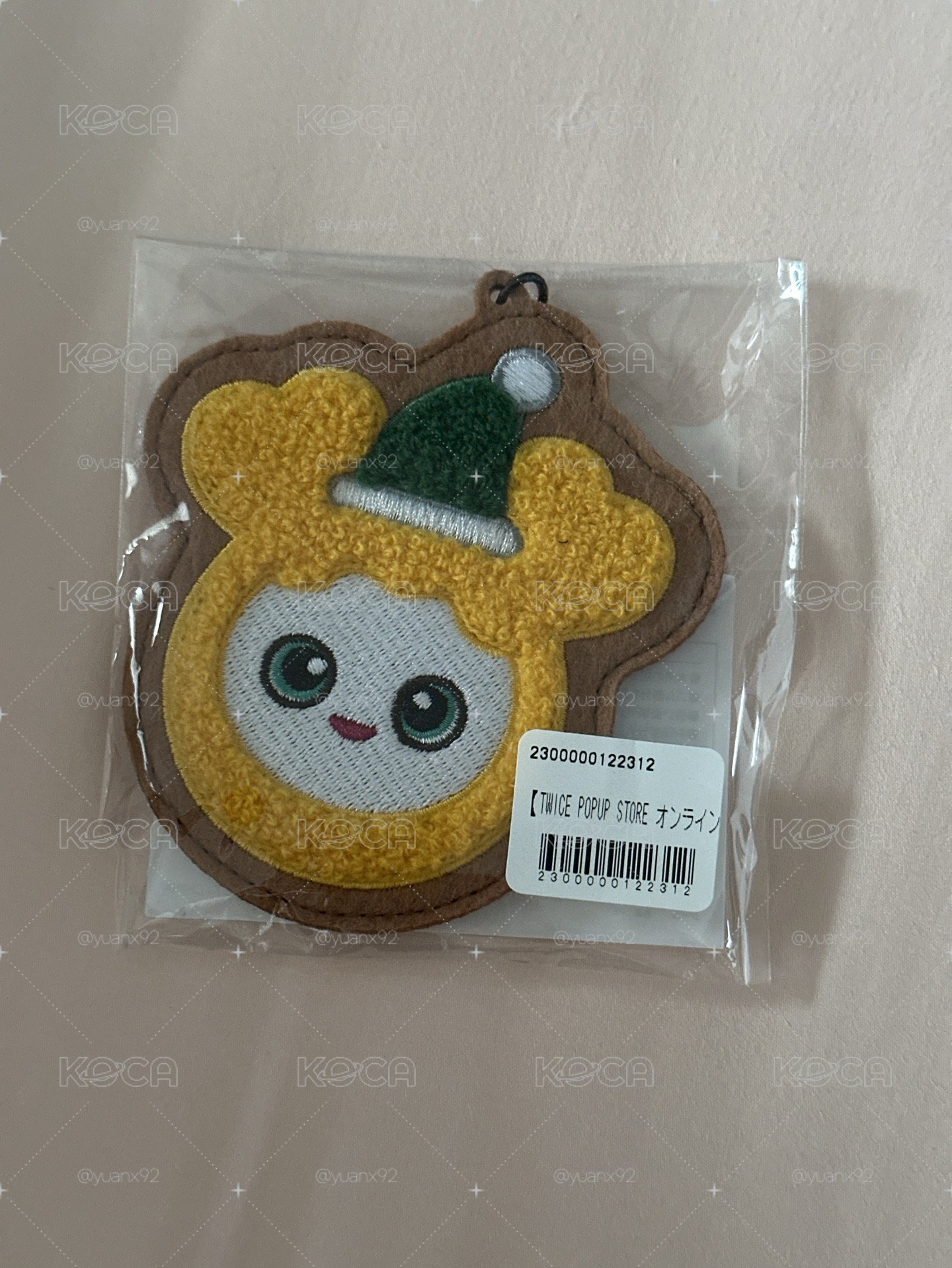 TWICE冬日一番賞 E賞志效 織布毛絨吊飾