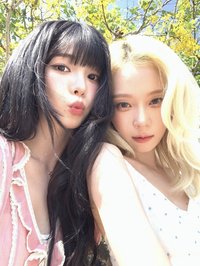 炡個豬包蛇