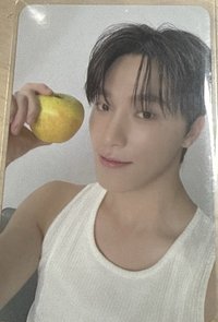 精選 carat 檸檬