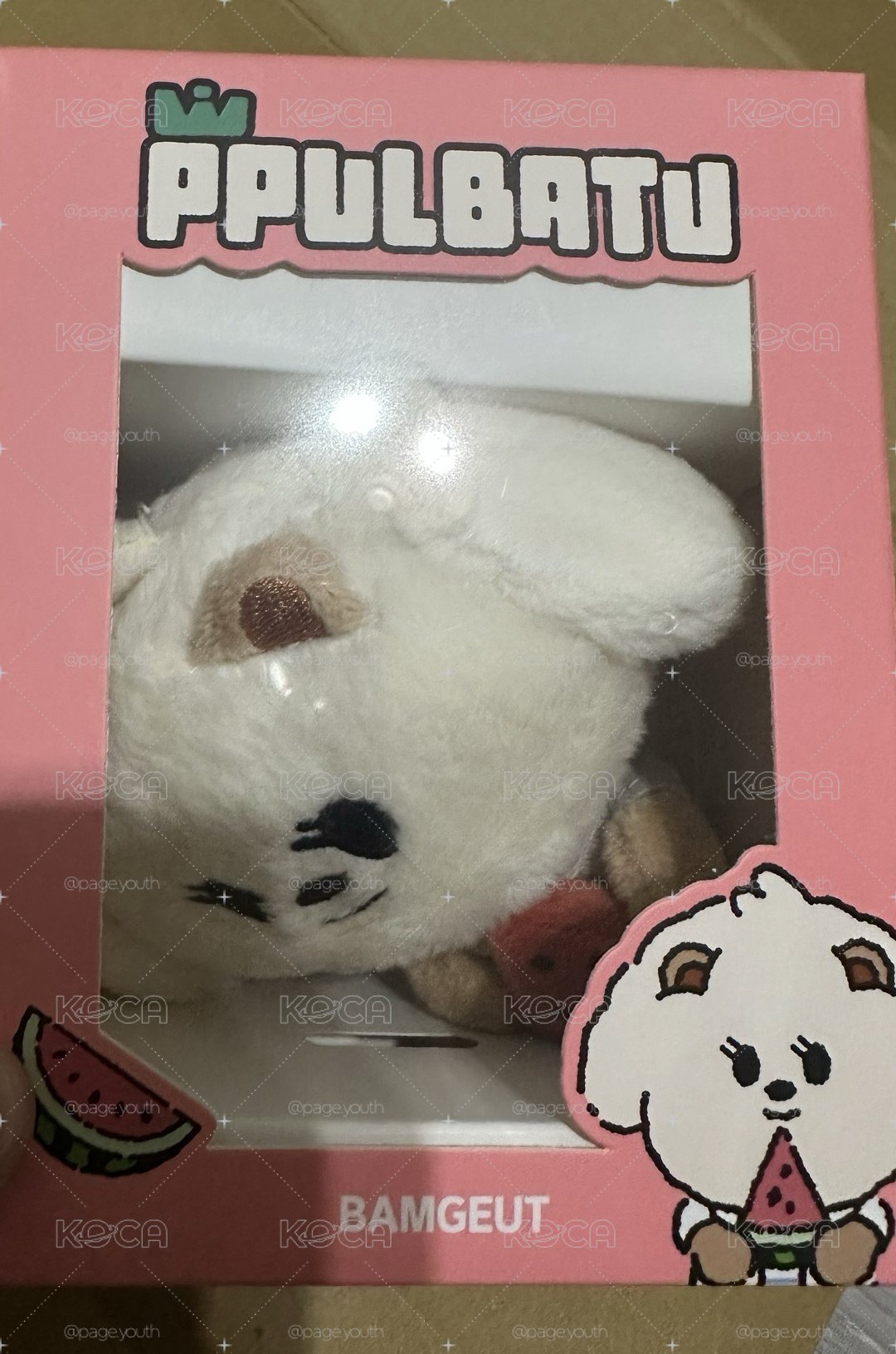夏日西瓜娃 栗嘻🍉